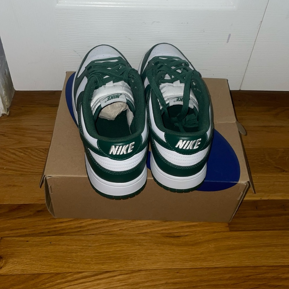 Michigan green dunks lightly used